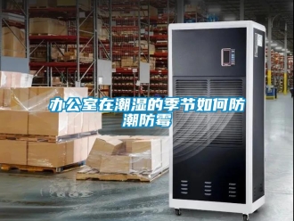 企業(yè)新聞辦公室在潮濕的季節(jié)如何防潮防霉
