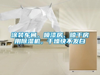 知識百科涂裝車間、噴漆房、晾干房用除濕機(jī)，干燥快不發(fā)白