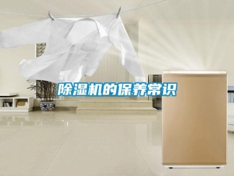 企業(yè)新聞除濕機(jī)的保養(yǎng)常識(shí)