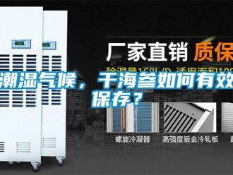 常見(jiàn)問(wèn)題潮濕氣候，干海參如何有效保存？