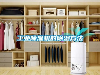 企業(yè)新聞工業(yè)除濕機(jī)的除濕方法