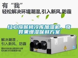 行業(yè)新聞紅心獼猴桃冷庫加濕機(jī)，奇異果增濕保鮮方案