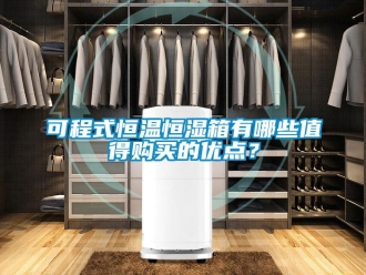 知識(shí)百科可程式恒溫恒濕箱有哪些值得購(gòu)買(mǎi)的優(yōu)點(diǎn)？