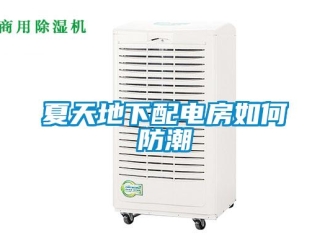 常見問(wèn)題夏天地下配電房如何防潮