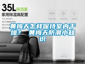 常見問題黃梅天怎樣保持室內(nèi)干燥？ 黃梅天防潮小知識
