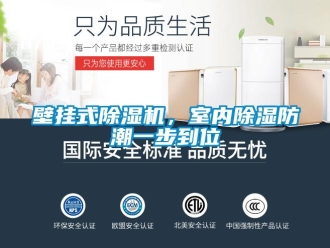 常見問(wèn)題壁掛式除濕機(jī)，室內(nèi)除濕防潮一步到位
