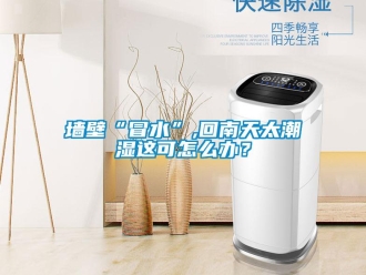 常見問題墻壁“冒水”,回南天太潮濕這可怎么辦？