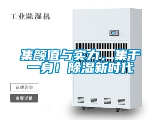 行業(yè)新聞集顏值與實(shí)力，集于一身！除濕新時(shí)代