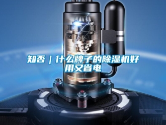 知識百科知否｜什么牌子的除濕機好用又省電