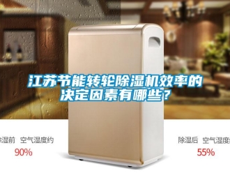 行業(yè)新聞江蘇節(jié)能轉(zhuǎn)輪除濕機(jī)效率的決定因素有哪些？