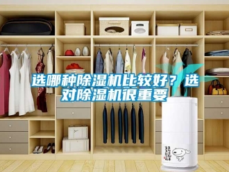 知識百科選哪種除濕機比較好？選對除濕機很重要