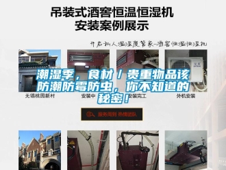 企業(yè)新聞潮濕季，食材／貴重物品該防潮防霉防蟲(chóng)，你不知道的秘密！