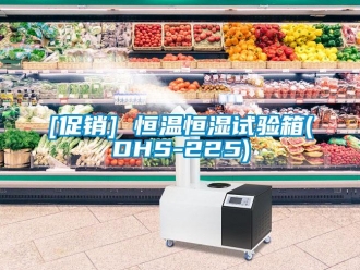 常見問題[促銷] 恒溫恒濕試驗(yàn)箱(DHS-225)