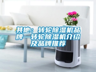 常見問題其他：轉(zhuǎn)輪除濕機(jī)品牌—轉(zhuǎn)輪除濕機(jī)介紹及品牌推薦