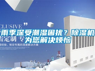 知識百科雨季深受潮濕困擾？除濕機為您解決煩惱