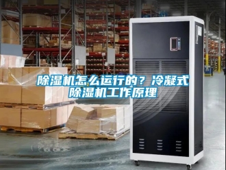 常見問題除濕機(jī)怎么運(yùn)行的？冷凝式除濕機(jī)工作原理