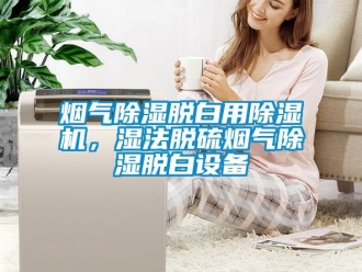 知識(shí)百科煙氣除濕脫白用除濕機(jī)，濕法脫硫煙氣除濕脫白設(shè)備
