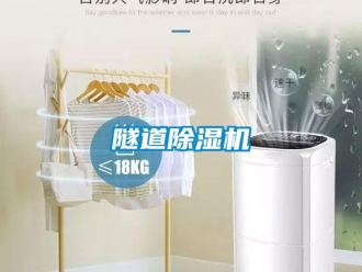 知識(shí)百科隧道除濕機(jī)
