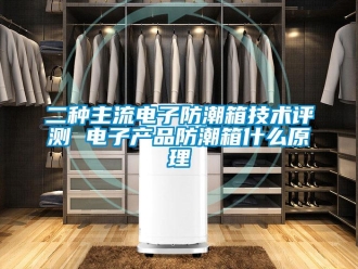 常見問題二種主流電子防潮箱技術(shù)評測 電子產(chǎn)品防潮箱什么原理