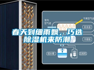 企業(yè)新聞春天到細雨飄，巧選除濕機來防潮