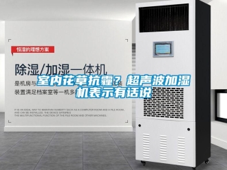 知識(shí)百科室內(nèi)花草抗霾？超聲波加濕機(jī)表示有話說(shuō)