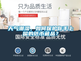 常見問題天氣潮濕，如何保護(hù)你手上留的紙幣藏品？