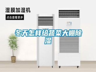 常見問題冬天怎樣給蔬菜大棚除濕