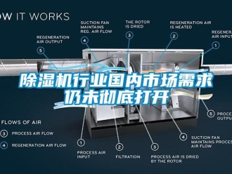 企業(yè)新聞除濕機(jī)行業(yè)國(guó)內(nèi)市場(chǎng)需求仍未徹底打開(kāi)