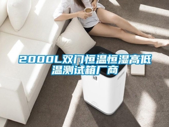 常見問(wèn)題2000L雙門恒溫恒濕高低溫測(cè)試箱廠商