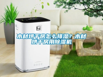常見問題木材烘干房怎么排濕？木材烘干房用除濕機(jī)
