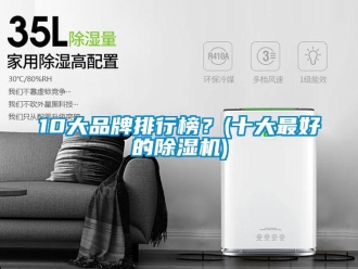 企業(yè)新聞10大品牌排行榜？(十大最好的除濕機(jī))