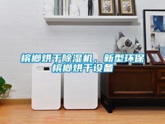 常見(jiàn)問(wèn)題檳榔烘干除濕機(jī)，新型環(huán)保檳榔烘干設(shè)備