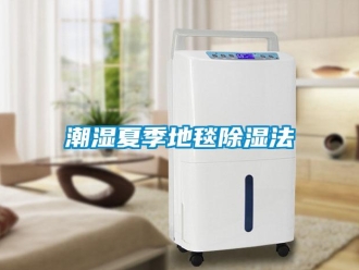 企業(yè)新聞潮濕夏季地毯除濕法