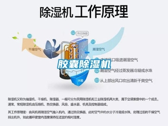 行業(yè)新聞膠囊除濕機
