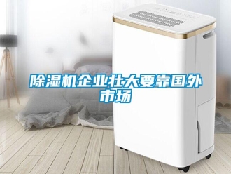 企業(yè)新聞除濕機(jī)企業(yè)壯大要靠國外市場