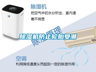 企業(yè)新聞除濕機(jī)防止輪胎受潮