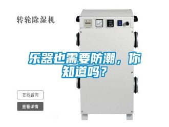 常見問題樂器也需要防潮，你知道嗎？