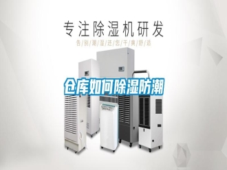 常見問題倉庫如何除濕防潮