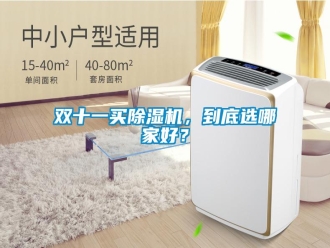 知識(shí)百科雙十一買(mǎi)除濕機(jī)，到底選哪家好？