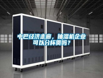 常見問題中巴經(jīng)濟走廊，抽濕機企業(yè)可以分杯羹嗎？