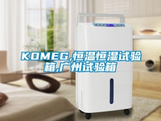 常見問(wèn)題KOMEG,恒溫恒濕試驗(yàn)箱,廣州試驗(yàn)箱