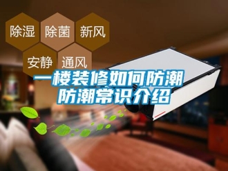 常見問題一樓裝修如何防潮 防潮常識(shí)介紹