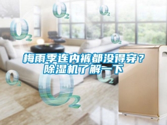 行業(yè)新聞梅雨季連內(nèi)褲都沒得穿？除濕機(jī)了解一下