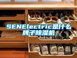 企業(yè)新聞SENElectric是什么牌子除濕機(jī)