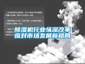 企業(yè)新聞除濕機(jī)行業(yè)縱深改革應(yīng)對市場發(fā)展新格局