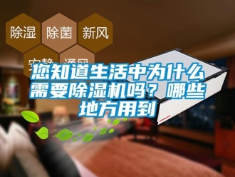 常見問題您知道生活中為什么需要除濕機(jī)嗎？哪些地方用到