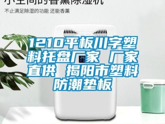 企業(yè)新聞1210平板川字塑料托盤廠家 廠家直供 揭陽市塑料防潮墊板