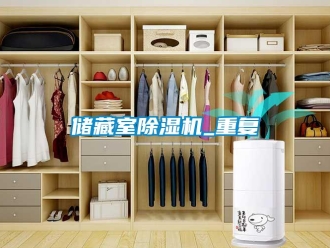 行業(yè)新聞儲(chǔ)藏室除濕機(jī)_重復(fù)
