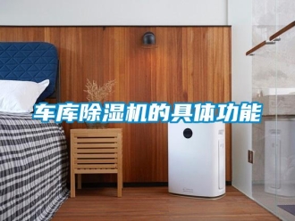 企業(yè)新聞車庫(kù)除濕機(jī)的具體功能