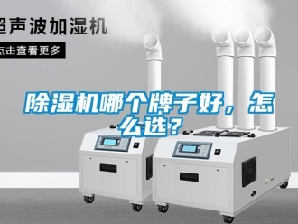 常見問題除濕機哪個牌子好，怎么選？